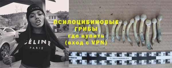 прущая мука Верхний Тагил