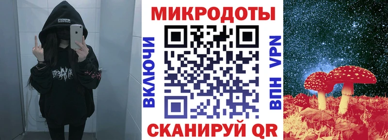 Псилоцибиновые грибы Cubensis  Астрахань 